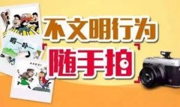 文明爆料站视频,探寻历史遗迹与未知文明的震撼之旅