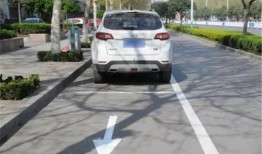 武汉停车爆料事件视频最新,视频揭露惊人真相，引发社会热议