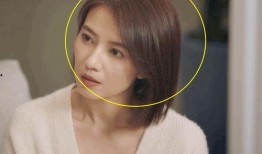 男子爆料洪洞视频播放大全,男子爆料事件回顾与解析